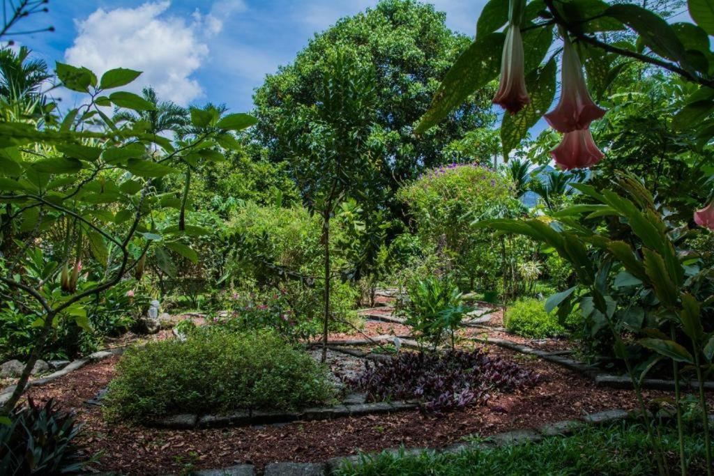 Hotel Vista Del Cerro La Fortuna Zewnętrze zdjęcie