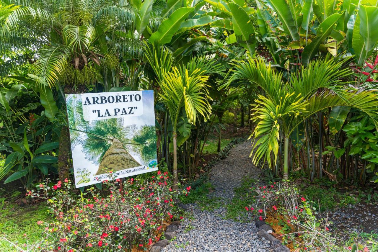 Hotel Vista Del Cerro La Fortuna Zewnętrze zdjęcie